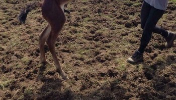Semoga wajah perempuan ini baik-baik saja ya. Foto: Boredpanda