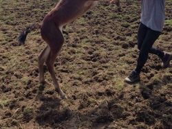 Detik-detik Sebelum Bencana Terjadi Terekam Kamera