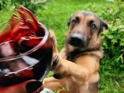 Detik-detik Sebelum Bencana Terjadi Terekam Kamera