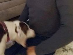 Detik-detik Sebelum Bencana Terjadi Terekam Kamera