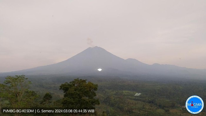 gunung semeru erupsi Jumat, 08 Maret 2024, pukul 05:42 WIB dengan tinggi kolom abu teramati ± 800 m