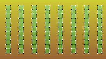 Garis hijaunya seakan bergerak. Foto: Brightside