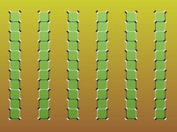 10 Ilusi Optik yang Bikin Terkesima, Kok Bisa Gitu