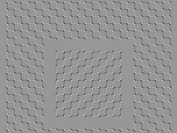 10 Ilusi Optik yang Bikin Terkesima, Kok Bisa Gitu