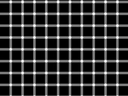 10 Ilusi Optik yang Bikin Terkesima, Kok Bisa Gitu