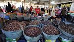Jelang Ramadan, Warga Kairo Berburu Kurma