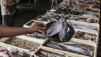 Kementerian Kelautan dan Perikanan (KKP) memperkirakan permintaan ikan pada Maret dan April 2024 mencapai 2,46 juta ton, sementara pasokan ikan dalam waktu itu bisa mencapai 3,10 juta ton sehingga mencukupi untuk memenuhi kebutuhan masyarakat selama Ramadhan dan Idul Fitri 2024.