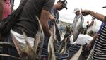 Pasokan Ikan Jelang Ramadan Tercukupi