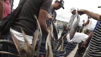 Nelayan membongkar muat ikan hasil tangkapan di tempat pelelangan ikan Palabuhanratu, Sukabumi, Jawa Barat, Jumat (8/3/2024).