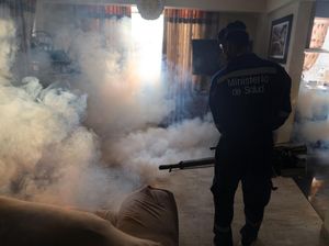 Peru Darurat Demam Berdarah, Fogging Gencar Dilakukan