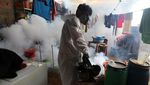 Peru Darurat Demam Berdarah, Fogging Gencar Dilakukan