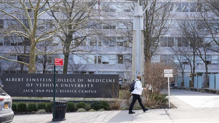 Potret Kampus Albert Einstein yang Gratiskan Kuliah Kedokteran The campus of the Albert Einstein College of Medicine is seen, Tuesday, Feb. 27, 2024, in the Bronx borough of New York. The medical school will be tuition-free for all students from now on thanks to a $1 billion donation from former professor Ruth Gottesman, the widow of a Wall Street investor. (AP Photo/Mary Altaffer)
