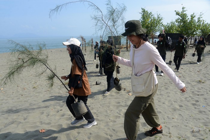 Mahasiswa Universitas Syiah Kuala (USK)  bersama mahasiswa dari beberapa perguruan tinggi lainnya dan pencinta lingkungan menanam bibit pohon cemara laut (Casaurina equisetifolia) di pantai wisata desa Alue Naga, Banda Aceh, Aceh, sabtu (9/3/2024). Aksi penanaman bibit pohon cemara laut  di pantai wisata tersebut dalam rangka pemulihan ekosistem  dan lingkungan hijau kawasan pesisir. ANTARA FOTO/Ampelsa/nz.