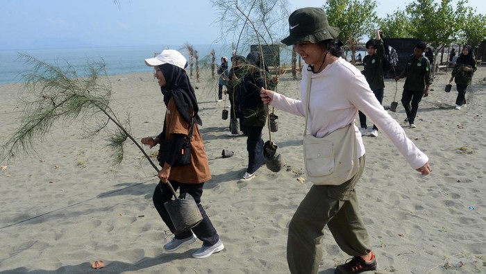 Aksi Mahasiswa Menanam Cemara Laut di Pantai Wisata Aceh Mahasiswa Universitas Syiah Kuala (USK) bersama mahasiswa dari beberapa perguruan tinggi lainnya dan pencinta lingkungan menanam bibit pohon cemara laut (Casaurina equisetifolia) di pantai wisata desa Alue Naga, Banda Aceh, Aceh, sabtu (9/3/2024). Aksi penanaman bibit pohon cemara laut di pantai wisata tersebut dalam rangka pemulihan ekosistem dan lingkungan hijau kawasan pesisir. ANTARA FOTO/Ampelsa/nz.