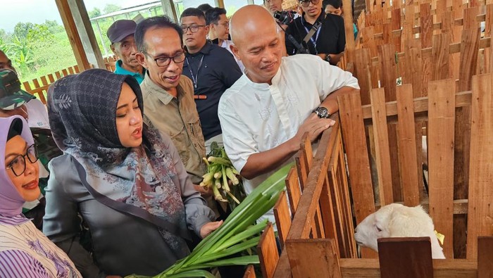 BSI & BSI Maslahat sinergi kembangkan klaster peternakan di Mojokerto