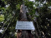 Kisah Minah Hidup di Rumah Sepetak dan Gang Gelap Jakarta