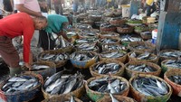 Nelayan menata keranjang berisi ikan saat berlangsung lelang ikan di Pelabuhan Perikanan Samudera , Banda Aceh, Aceh, Sabtu (9/3/2024).