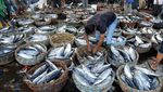 Jelang Ramadan, Stok Ikan di Aceh Mencapai 3 Juta Ton
