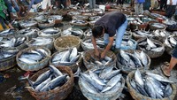 Stok ikan mencapai 3,10 juta ton sedangkan permintaan dalam kurun waktu dua bulan tersebut kisaran 2,46 juta ton.