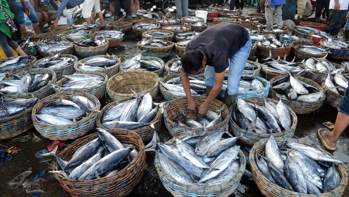 Nelayan menata keranjang berisi ikan saat berlangsung lelang ikan di Pelabuhan Perikanan Samudera , Banda Aceh, Aceh, Sabtu (9/3/2024). Kementerian Kelautan dan Perikanan (KKP) mencatat  ketersediaan ikan  secara nasional untuk pemenuhan kebutuhan Ramadhan hingga Lebaran 2024 mencukupi karena stok mencapai 3,10 juta ton sedangkan permintaan dalam kurun waktu dua bulan tersebut kisaran 2,46 juta ton. ANTARA FOTO/Ampelsa/nz.