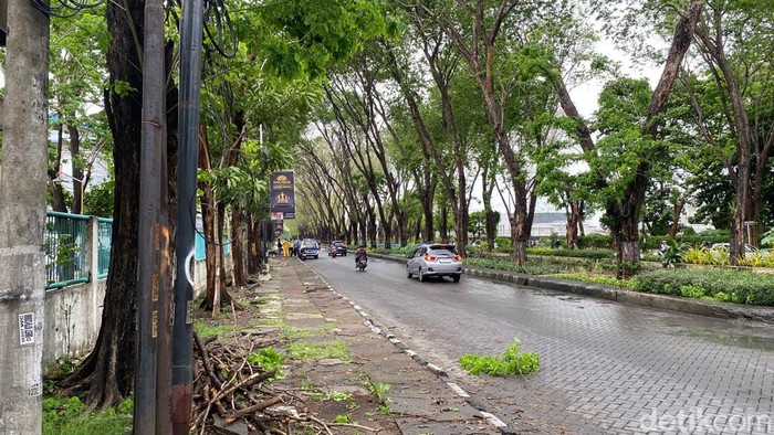 Lokasi kejadian pohon tumbang tewaskan pengendara di SIER Rungkut