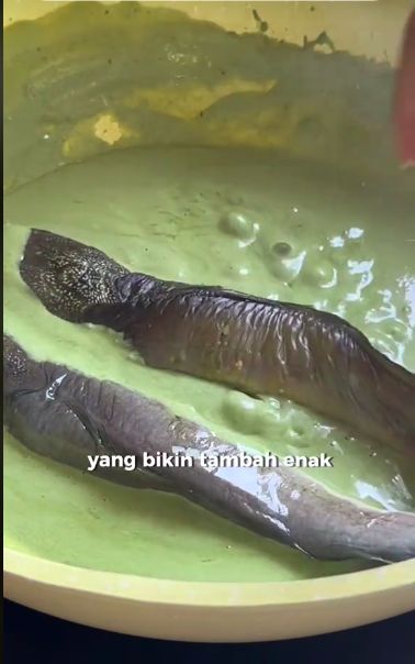 Netizen Ini Bagikan Resep Ikan Lele Matcha Creamy, Mau Coba?