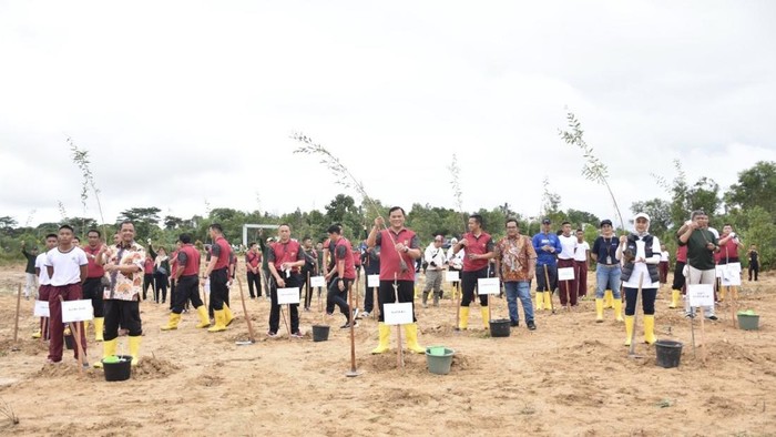 Penanaman pohon di kawasan bandara Depati Amir Pangkalpinang.