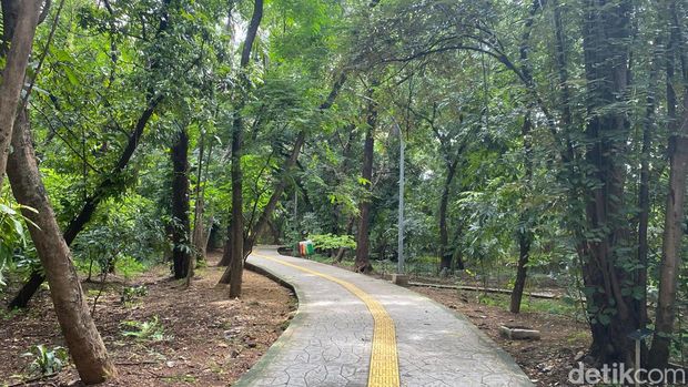 Rekomendasi Tempat Jogging di Jakarta Barat, 'Hidden Gem' Bisa Buat Ngadem