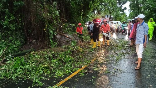 Tanah Longsor di Jalan Singaraja- Denpasar, Desa Ambengan, Kecamatan Sukasada, Buleleng, Sabtu (9/3/2024). (Istimewa)