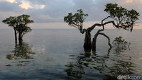 Pantai Puru Kambera di Desa Mondu, Kecamatan Haharu, Kabupaten Sumba Timur, NTT, menawarkan pemandangan yang indah. Pantai ini terletak 29 kilometer dari pusat Kota Waingapu. Di sini wisatawan akan disuguhkan pemandangan savana yang indah dengan kondisi jalan yang baik serta pantai pasir putih yang indah.