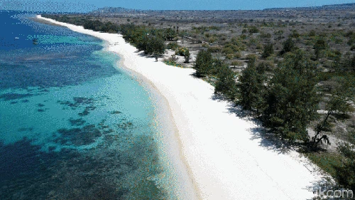 Pulau Sumba, sebuah pulau di Provinsi Nusa Tenggara Timur, Indonesia. Kota terbesar di Pulau Sumba adalah adalah Waingapu, ibu kota Kabupaten Sumba Timur.