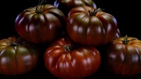Sekilas tomat ini tak tampak seperti tomat sungguhan. Tomat dengan julukan Amazon Cokelat memiliki warna yang cokelat pekat mengilap. Foto: tomatobible