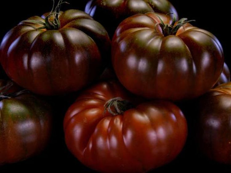 Bukan Merah, 10 Varietas Tomat Ini Berwarna Gelap Hampir Hitam
