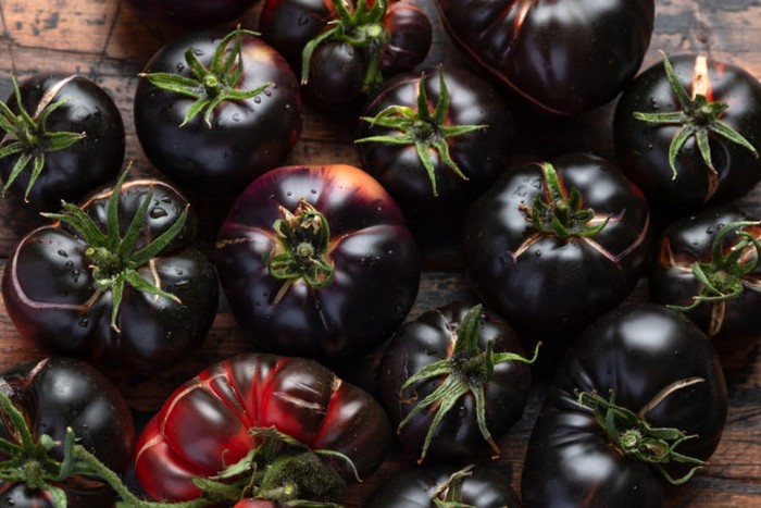 Tomat warna hitam Bukan Merah, 10 Varietas Tomat Ini Berwarna Gelap Hampir Hitam