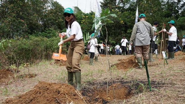 WIKA-BRIN tanam pohon langka di Wikasatrian