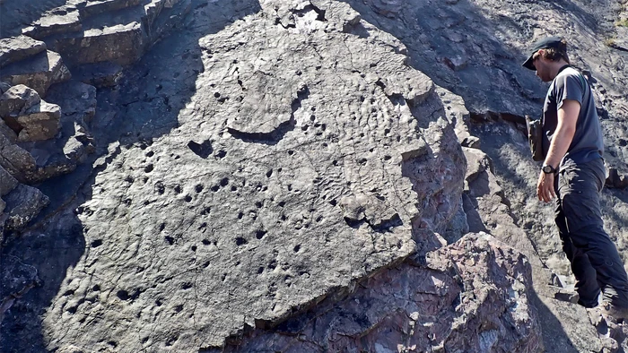 Foto: Tebing Formasi Batu Pasir Hangman, tempat ditemukannya banyak fosil yang berasal dari zaman Devonian. Credit: Neil Davies dari jurnal publikasinya.