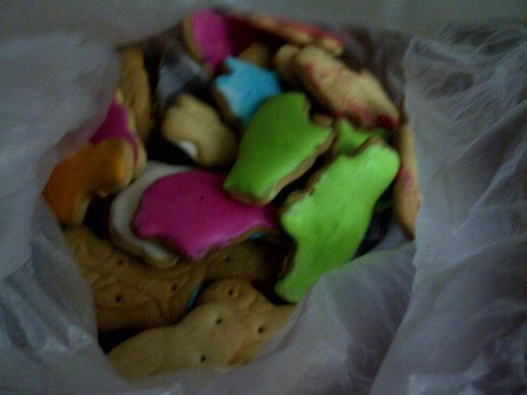 Ini 10 Biskuit Jadul yang Bikin Anak 90an Nostalgia!