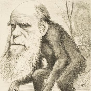 Karikatur Mengolok Charles Darwin dari Majalah Satir The Hornet Tahun 1871 membuat orang sedunia mengira Darwin bilang manusia berasal dari kera.