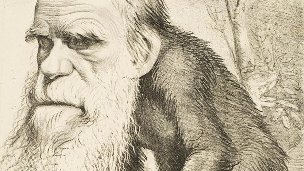 Karikatur Mengolok Charles Darwin dari Majalah Satir The Hornet Tahun 1871 membuat orang sedunia mengira Darwin bilang manusia berasal dari kera.