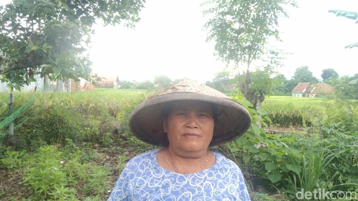 Keno petani Majalengka.