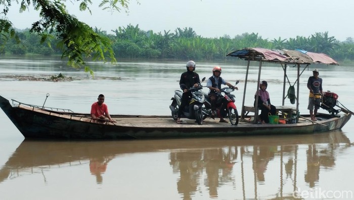 Kondisi Bengawan Solo di wilayah Balen Bojonegoro saat siaga Kuning.