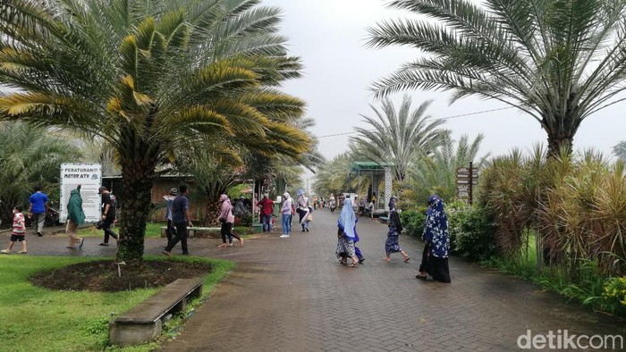 Kurma Park Pasuruan. wisata edukasi kurma pertama di Indonesia.