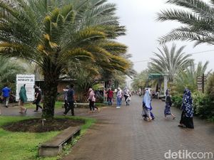 Kurma Park Pasuruan, Wisata Edukasi Kurma Pertama di Indonesia