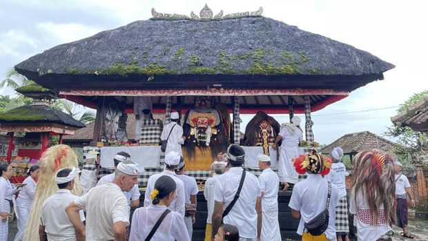 Tradisi Ngerebeg jelang hari raya Nyepi d Tabanan, Bali