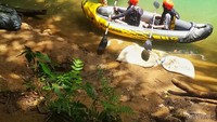 Pengunjung menyusuri sungai di Taman Nasional Bantimurung Bulusaraung selama 20 menit.