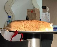 Awas Kecele! Hewan-hewan Gemas ini Mirip Makanan