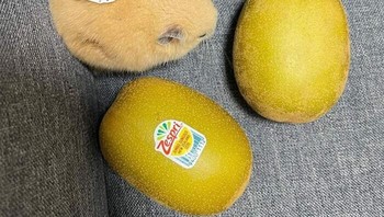 Ayo tebak mana kiwi yang palsu. Foto: Boredpanda