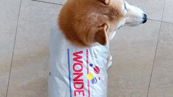 Siapa yang mau roti bentuk anjing? Foto: Boredpanda