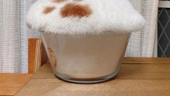 Fluffy Muffin dengan cetakan kaki kucing. Foto: Boredpanda