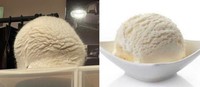 Awas Kecele! Hewan-hewan Gemas ini Mirip Makanan